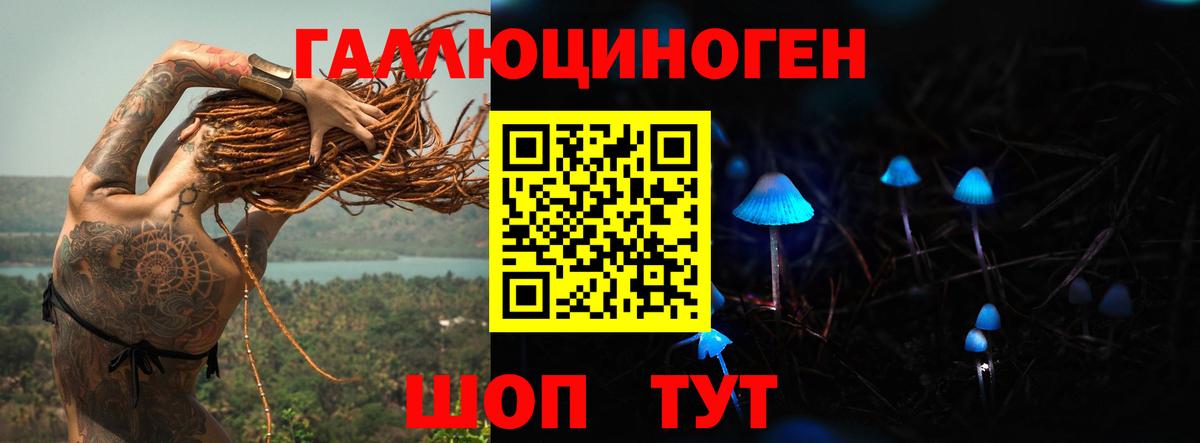 Псилоцибиновые грибы Psilocybine cubensis  Вход с VPN  как найти закладки  Новосибирск 